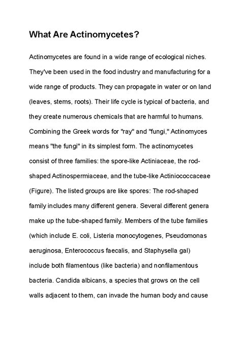 What Are Actinomycetes - What Are Actinomycetes? Actinomycetes are ...