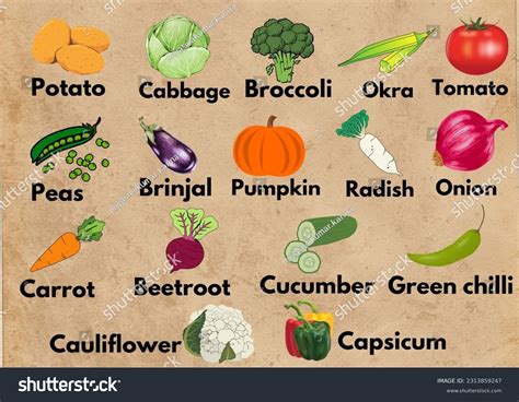 100 Vegetables Names, Pictures, Definition And Example, 41% OFF