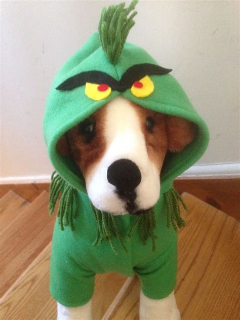 Grinch costume by FiercePetFashion | Grinch costumes, Pet costumes ...
