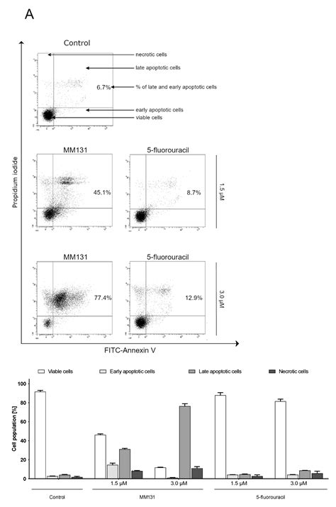 The Anticancer Action of a Novel 1,2,4-Triazine Sulfonamide Derivative ...