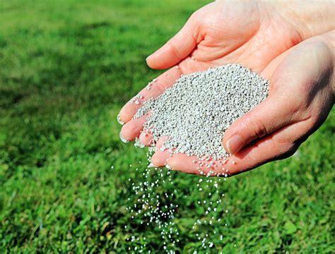 How Often Should You Fertilize Your Lawn