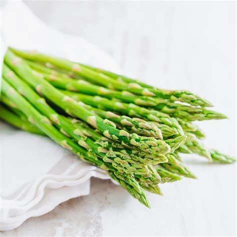 Can Dogs Eat Asparagus? - Everything You Need To Know