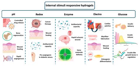 Smart Nanocomposite Hydrogels as Next-Generation Therapeutic and ...
