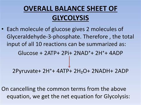 Equation For Glycolysis