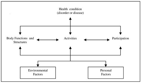 Feasibility of Using the International Classification of Functioning ...