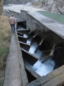 Larji Dam Fishladder: an unlovely trinket, a deceptive ornament – SANDRP