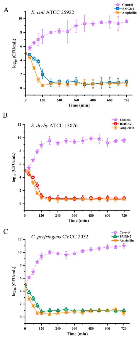 Characterization of Recombinant Antimicrobial Peptide BMGlv2 ...