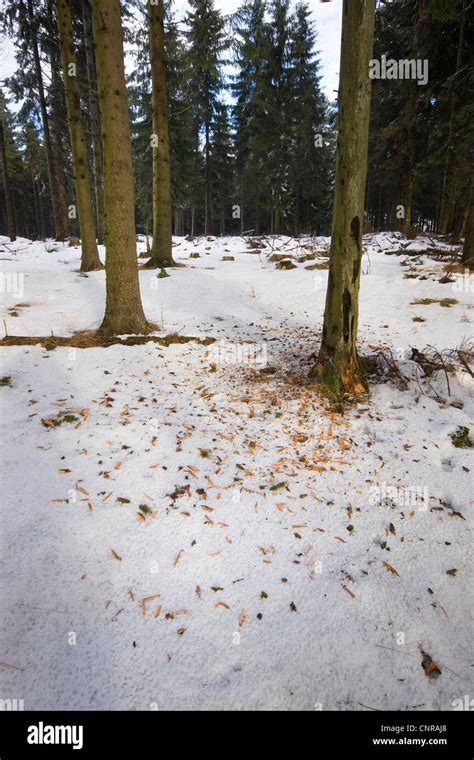 Image result for Hashed Log