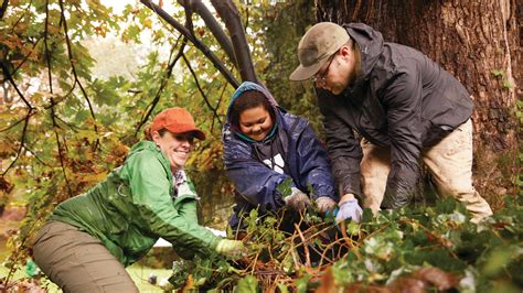 Supporting Local Communities 的图像结果