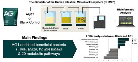 AG1® Induces a Favorable Impact on Gut Microbial Structure and ...