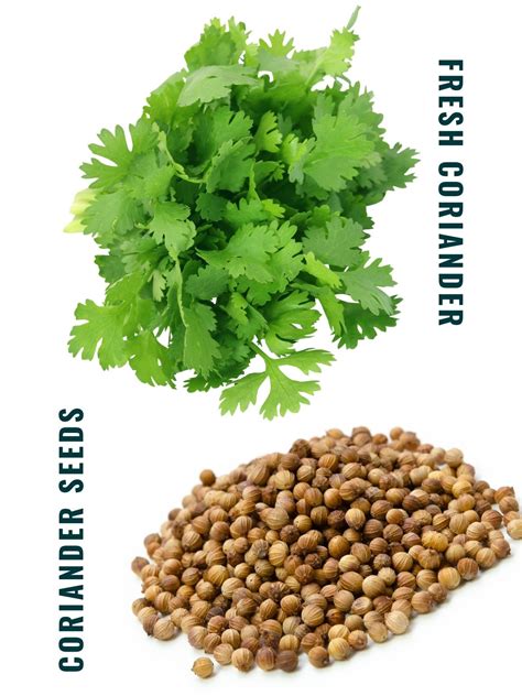 Unlock New Flavors With The Perfect Fenugreek Substitute