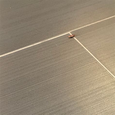 WINGATE BY WYNDHAM (Wilmington) - Hotel Reviews, Photos, Rate ...