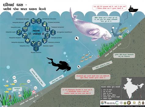 Outreach and communication | Wildlife Institute of India, an Autonomous ...