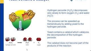 Image result for H2O2 Fizzing Reactions