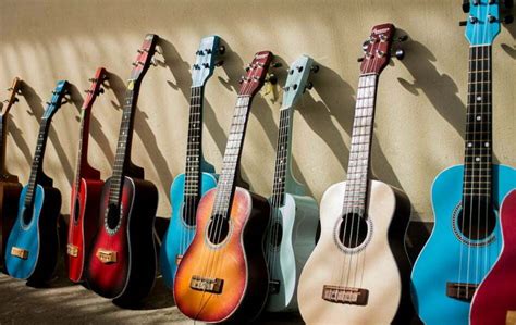 Image result for Beginner Four String Guitar Lessons