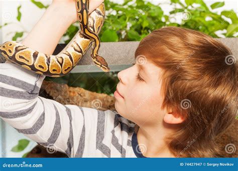 有皇家宠物的蛇-或球Python的年轻男孩 库存图片. 图片 包括有 囚禁, 关闭, 陈列, 爬行动物, 竹子 - 74427947