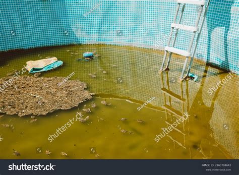 11,711 Pool Dirt Images, Stock Photos & Vectors | Shutterstock