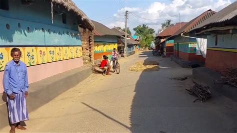 Tiger in Purulia: পুরুলিয়ার জঙ্গল দাপিয়ে বেড়াচ্ছে যমুনা! বাঘিনীকে ...