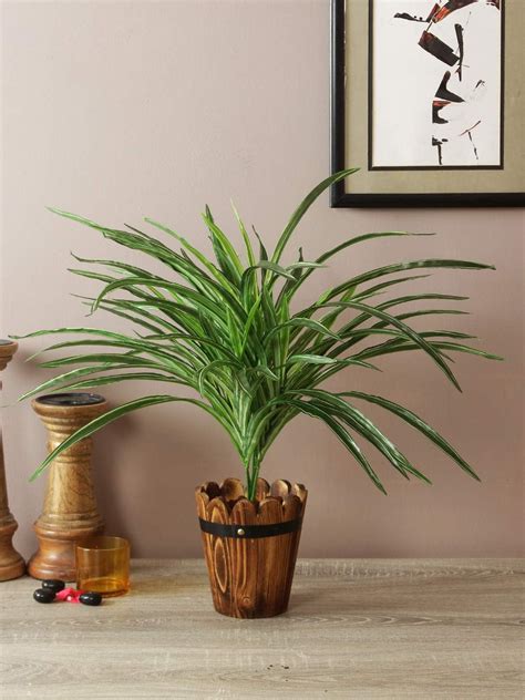 Buy Fourwalls Artificial Rubbrr Floor Plant Without Pot (75 cm Tall ...