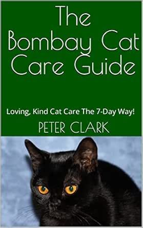 The Bombay Cat Care Guide: Loving, Kind Cat Care The 7-Day Way! eBook ...