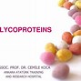 glycoprotein 的图像结果