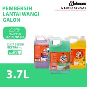 Promo Mr Muscle Pembersih Lantai Wangi Galon 3,7L Pengharum lantai ...