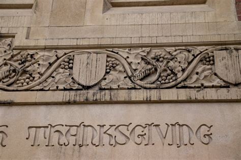 Image result for Grapevines Script M