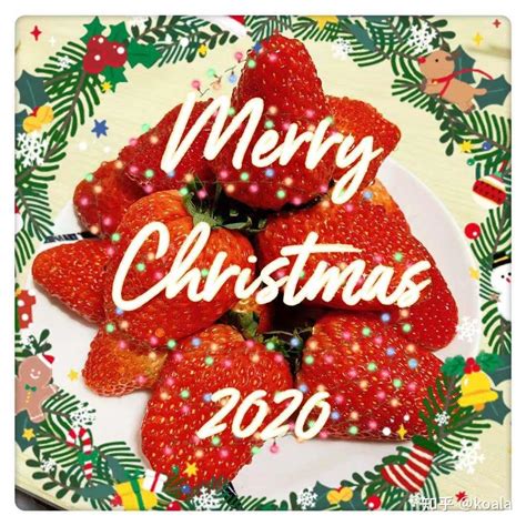 大连有什么好礼物最新素材