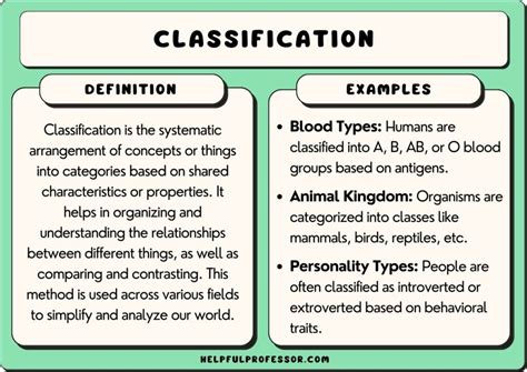 Classification Explained 的图像结果