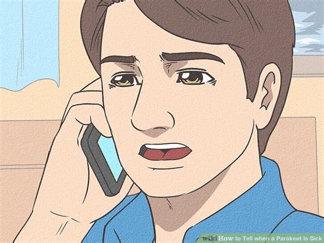 Sick Parakeet 的图像结果