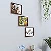 Amazon Brand - Solimo Collage Square Rectangular Photo Frames, Set Of 3 ...
