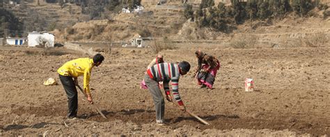 best organic farms in uttrakhand mukteshwar bhimtal farmstay homestay ...
