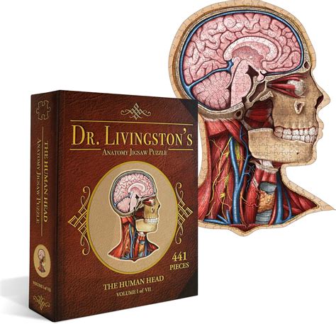 Human Head Anatomy Puzzle - Adult Jigsaw Puzzles India | Ubuy
