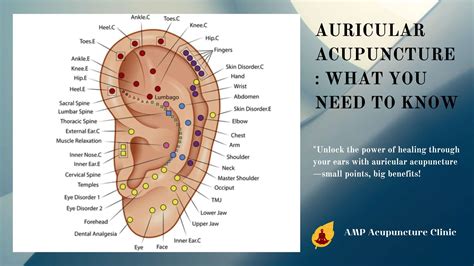 1 # Best Tips On Auricular acupuncture
