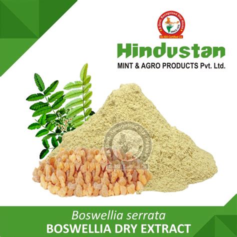 Boswellia Dry Extract Manufacturer Exporter India USA