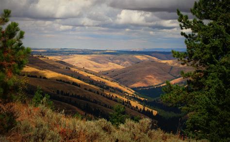 Blue Mountains, Umatilla Indian Reservation near Pendleton, Oregon ...
