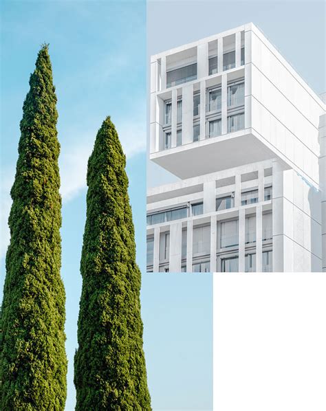 Compositing Tutorials 的图像结果