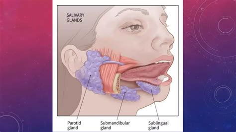 Salivary gland disease | PPTX