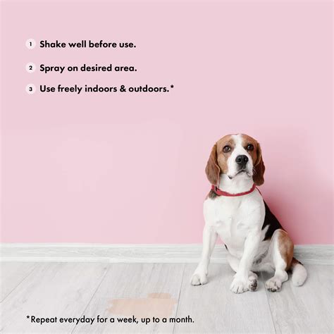 Stop Dogs Urinating Inside 的图像结果