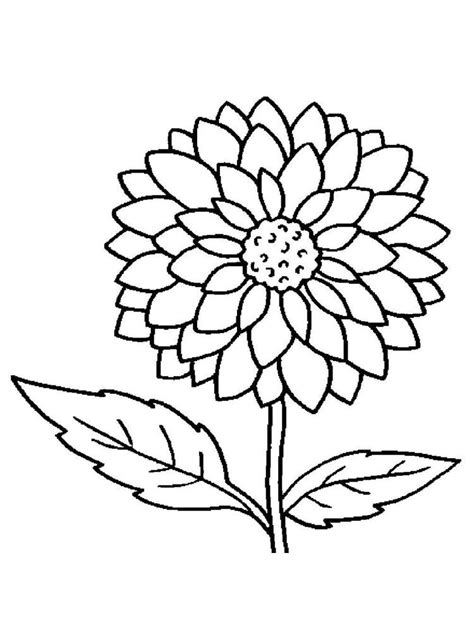 flower pictures to color