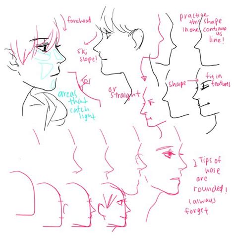 Side View Reference 的图像结果