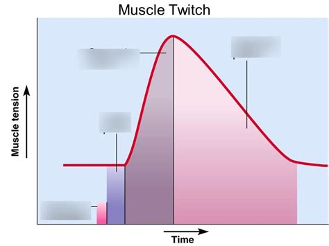 Image result for Myogram