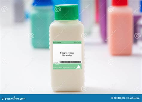 Streptococcus salivarius stock photo. Image of algae - 280400966
