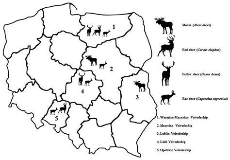 Detection of Anaplasma phagocytophilum in Wild and Farmed Cervids in Poland