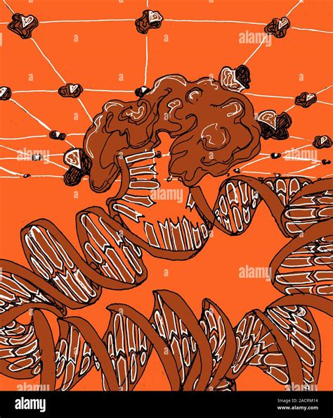 Repairing DNA 的图像结果