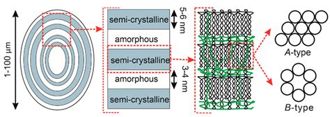 Environmentally Friendly Starch-Based Adhesives for Bonding High ...