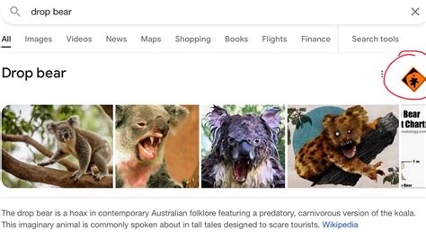 google drop bear easter egg - YouTube