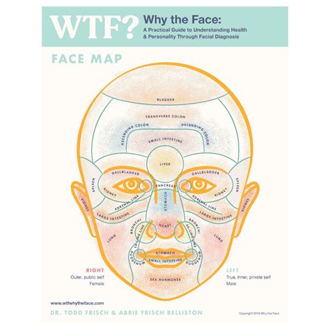 Image result for Face Mesh Map