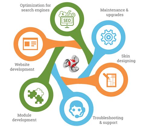 Image result for DotNetNuke Developer