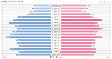 Image result for Area Code 11214